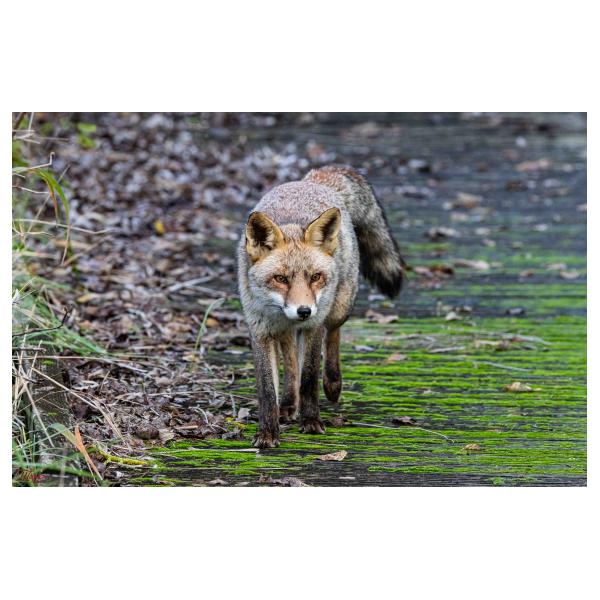 PHOTO84, CLUB, 84 , LUBERON